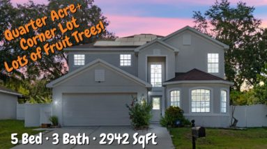 Ocoee Florida Home For Sale on over a Quarter Acre Corner Lot with LOTS of FRUIT TREES! | $425K